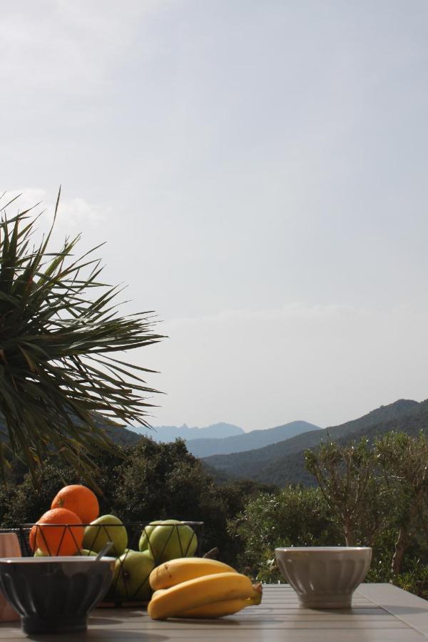 Villa Rosa Conca Dış mekan fotoğraf
